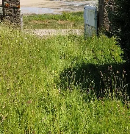 Ribera Villa